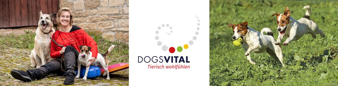 DOGSVITAL