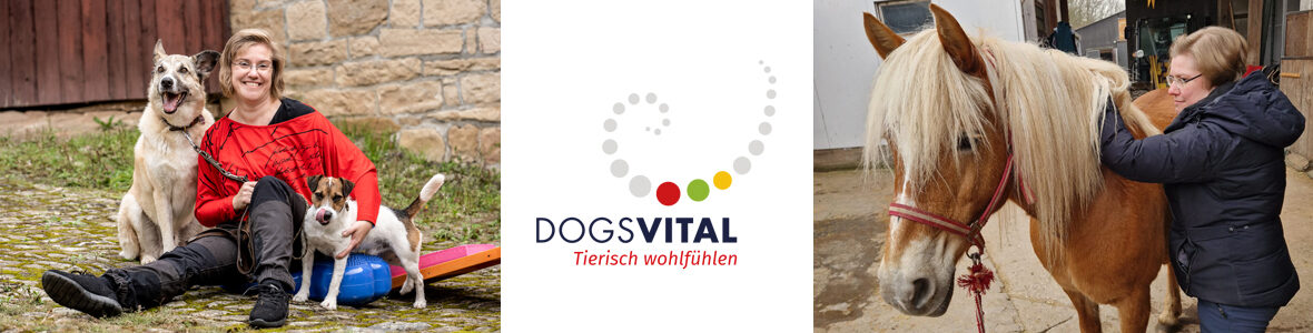 DOGSVITAL